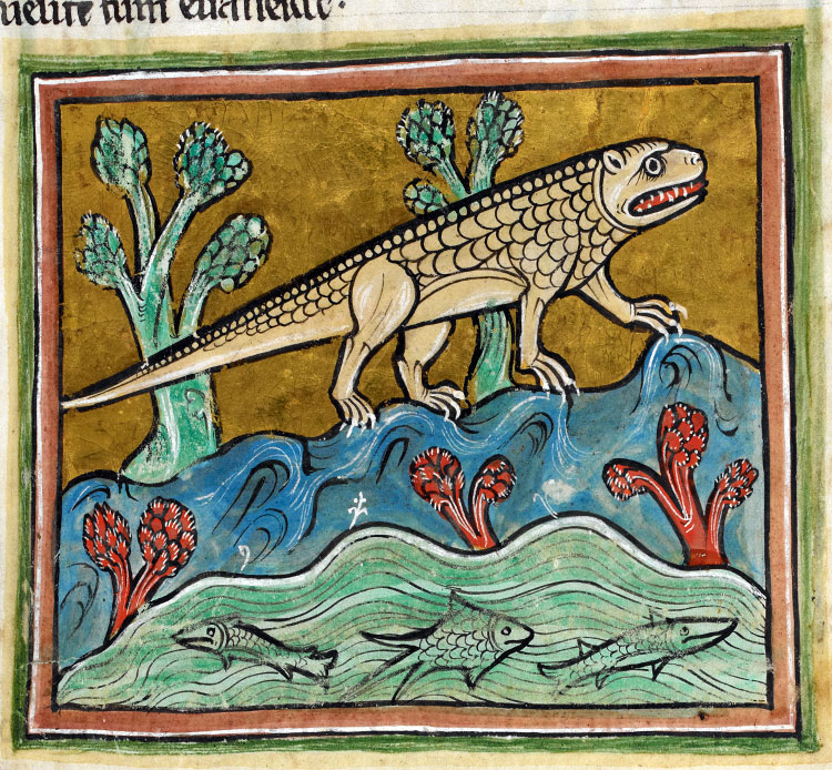 Medieval crocodile image from a manuscript